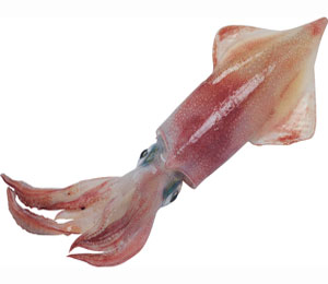 ������� ��������